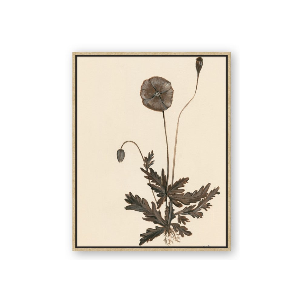 Vintage Botanical II