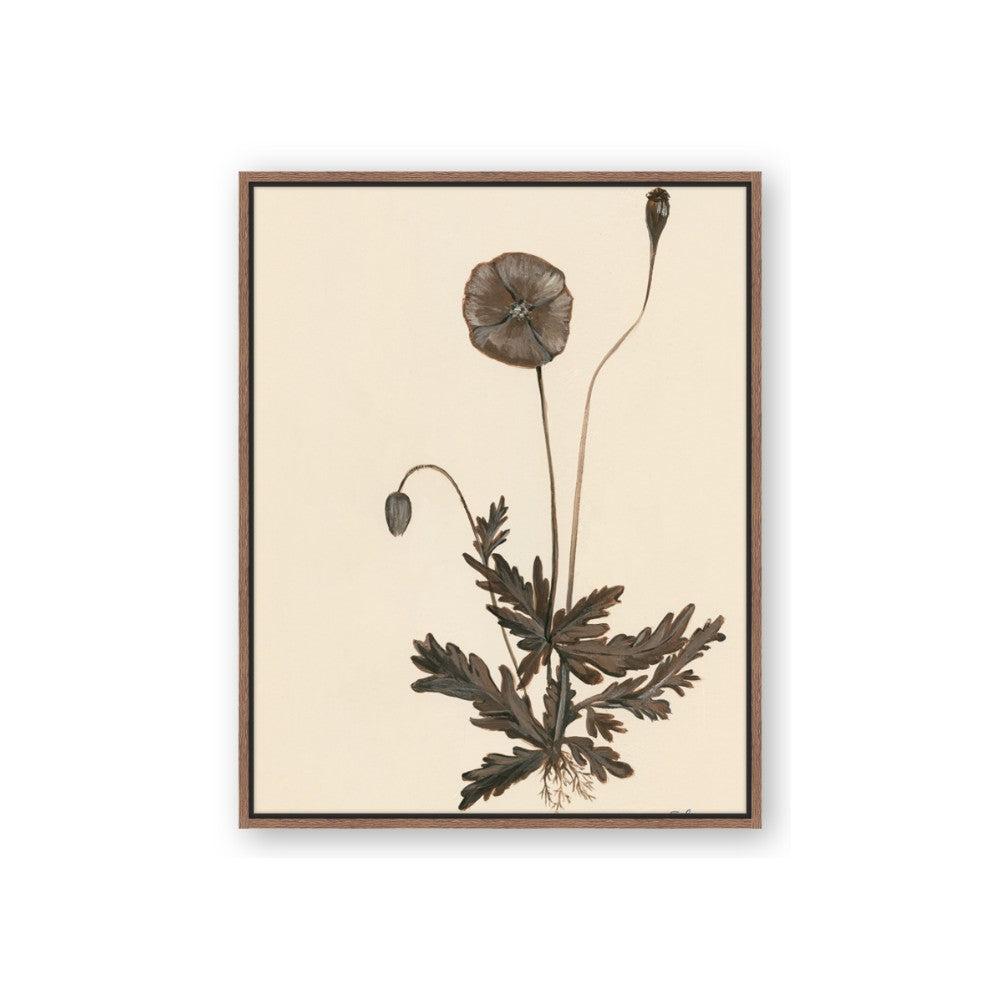 Vintage Botanical II