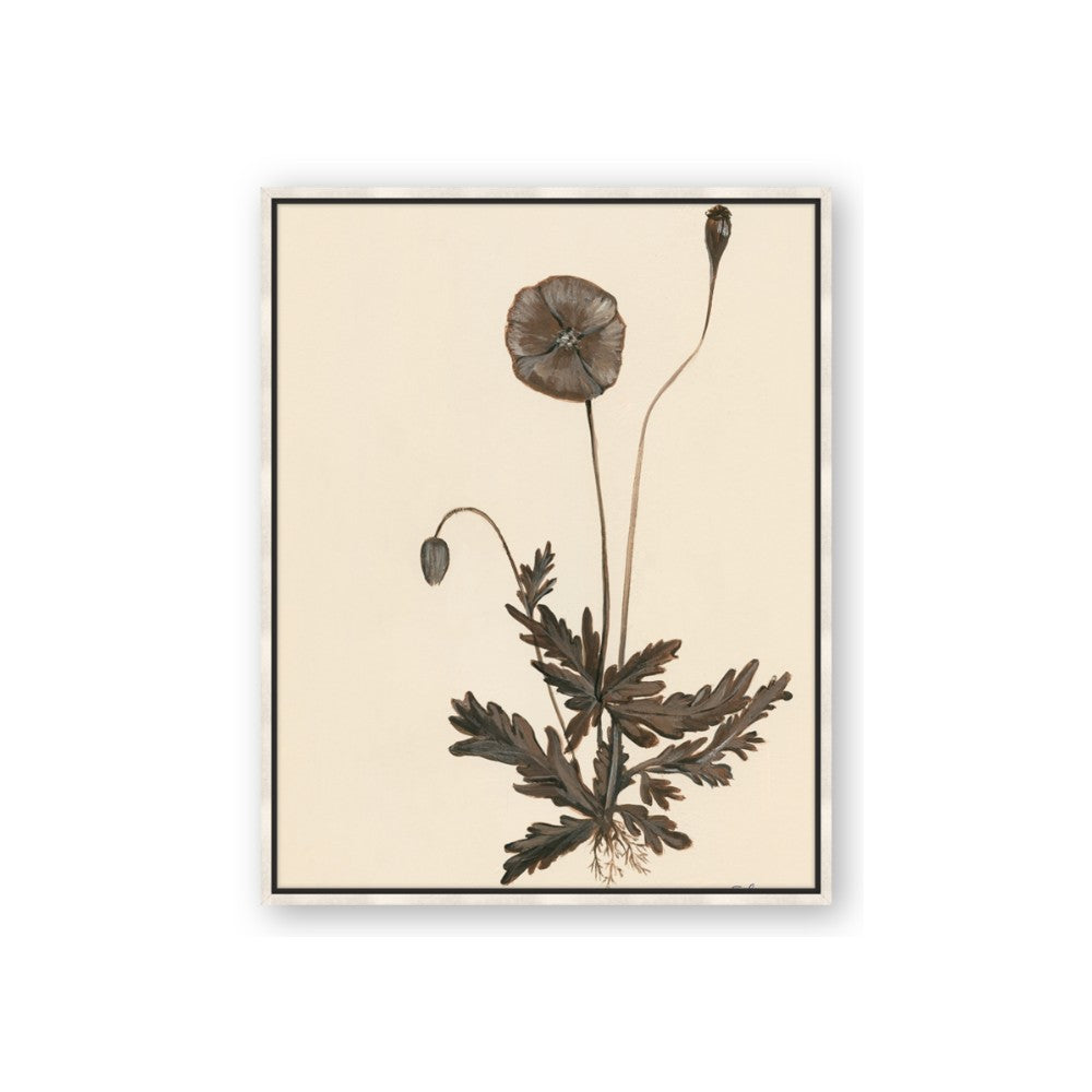 Vintage Botanical II