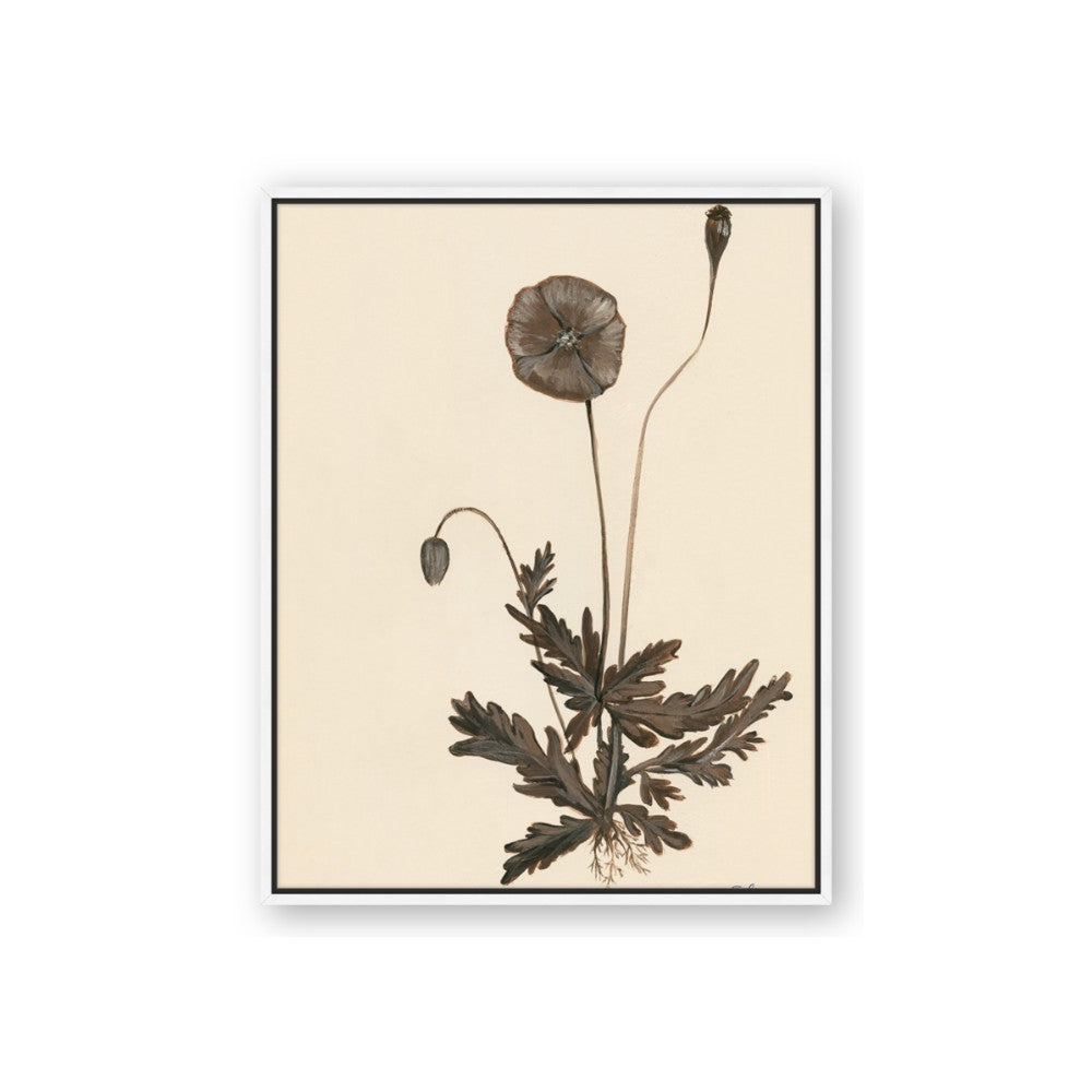 Vintage Botanical II