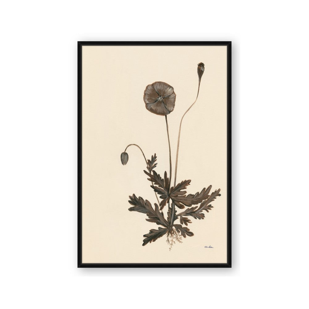 Vintage Botanical II