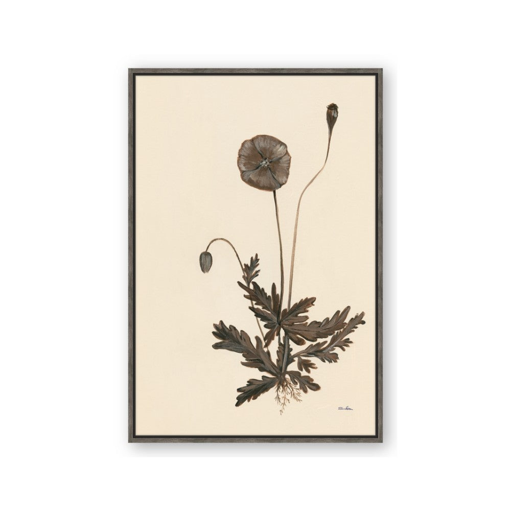 Vintage Botanical II