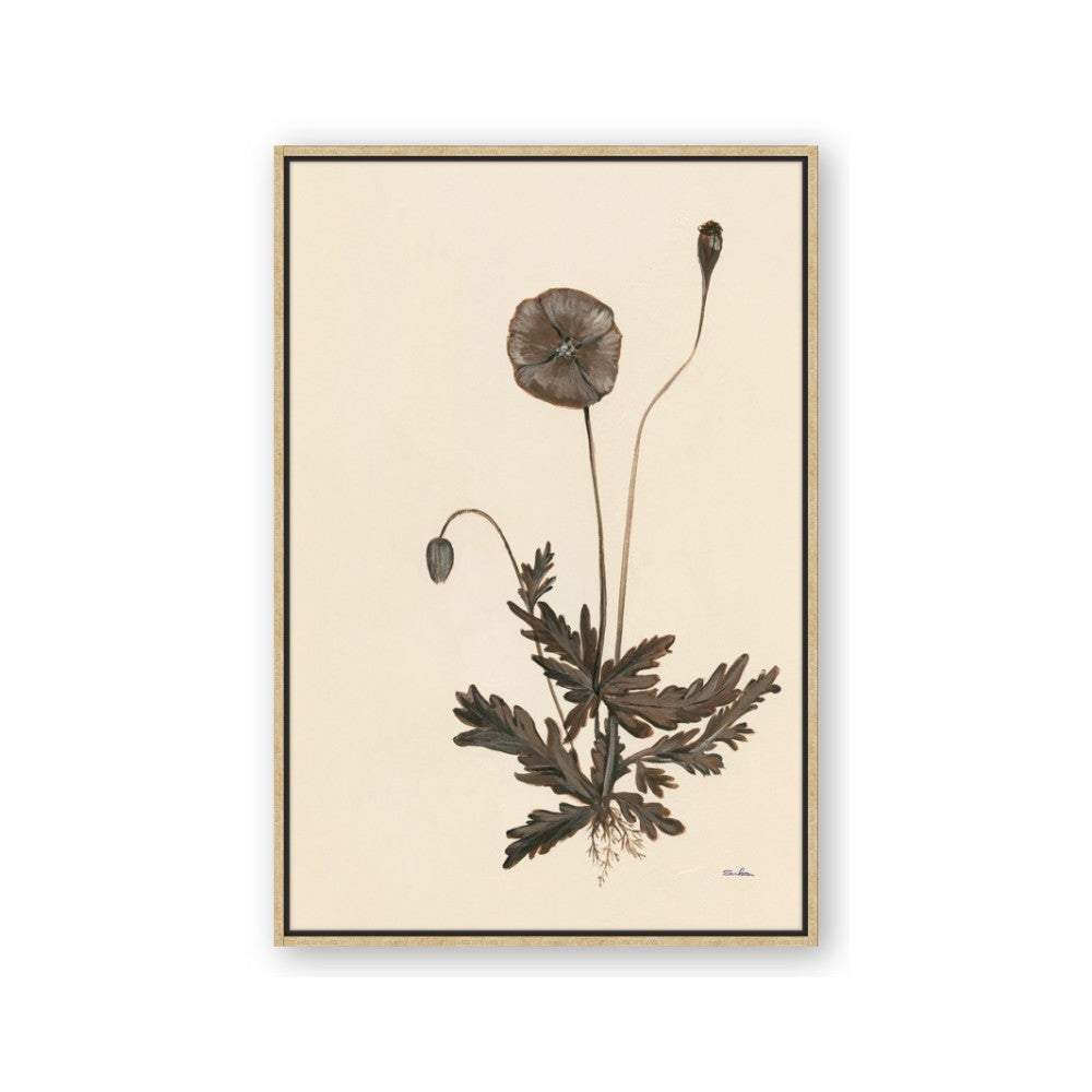 Vintage Botanical II