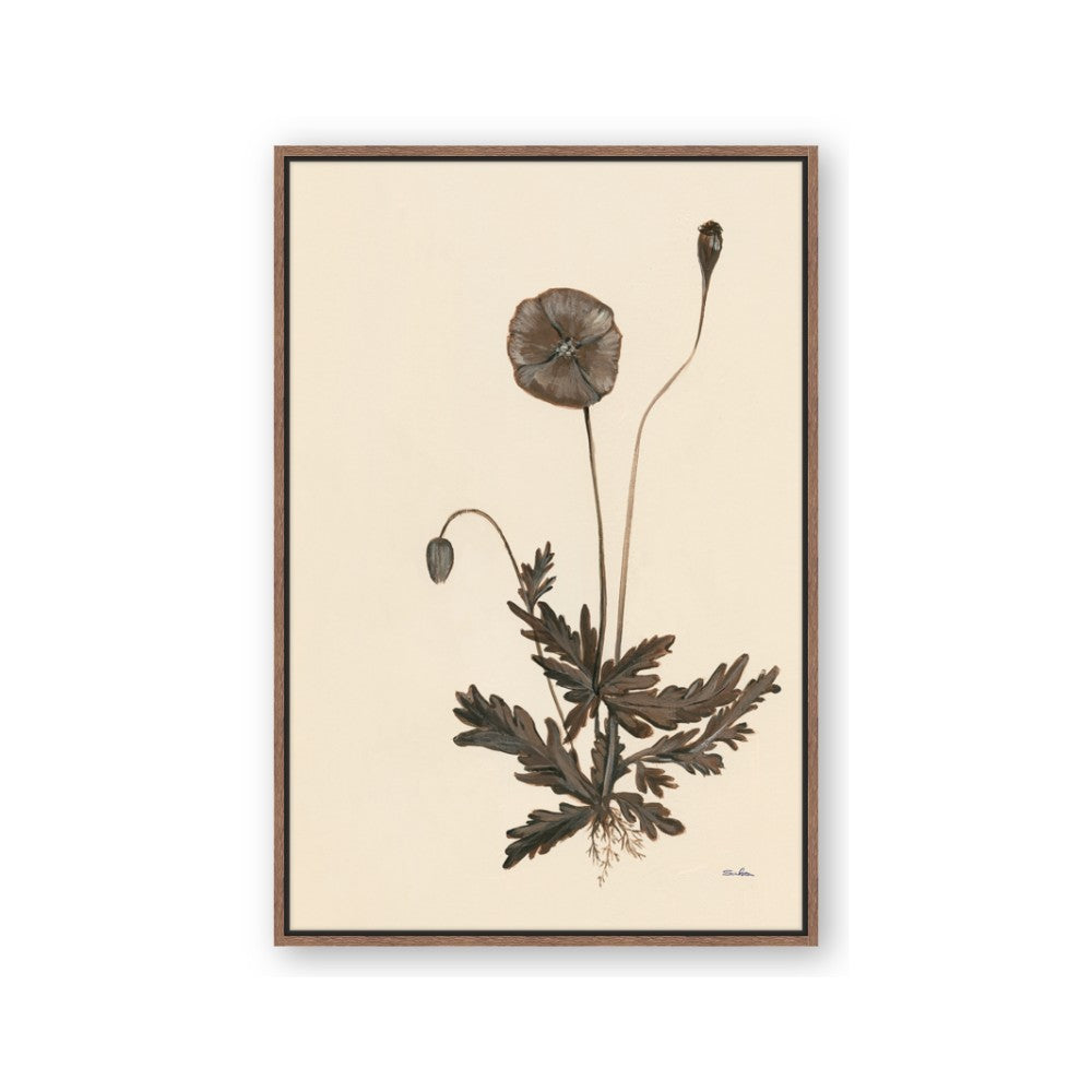 Vintage Botanical II