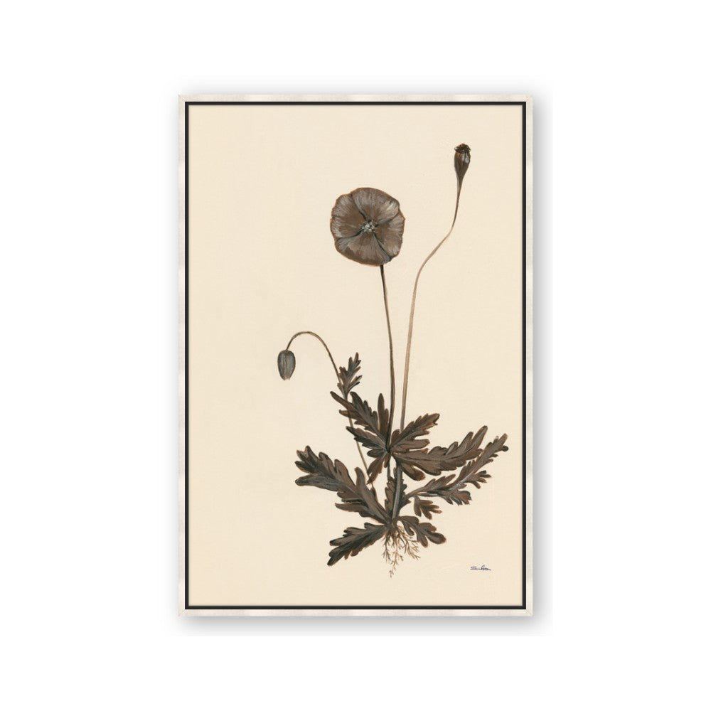 Vintage Botanical II