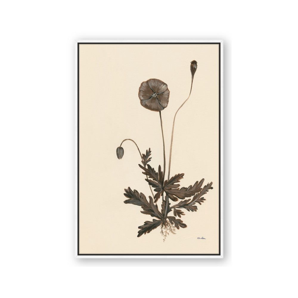 Vintage Botanical II