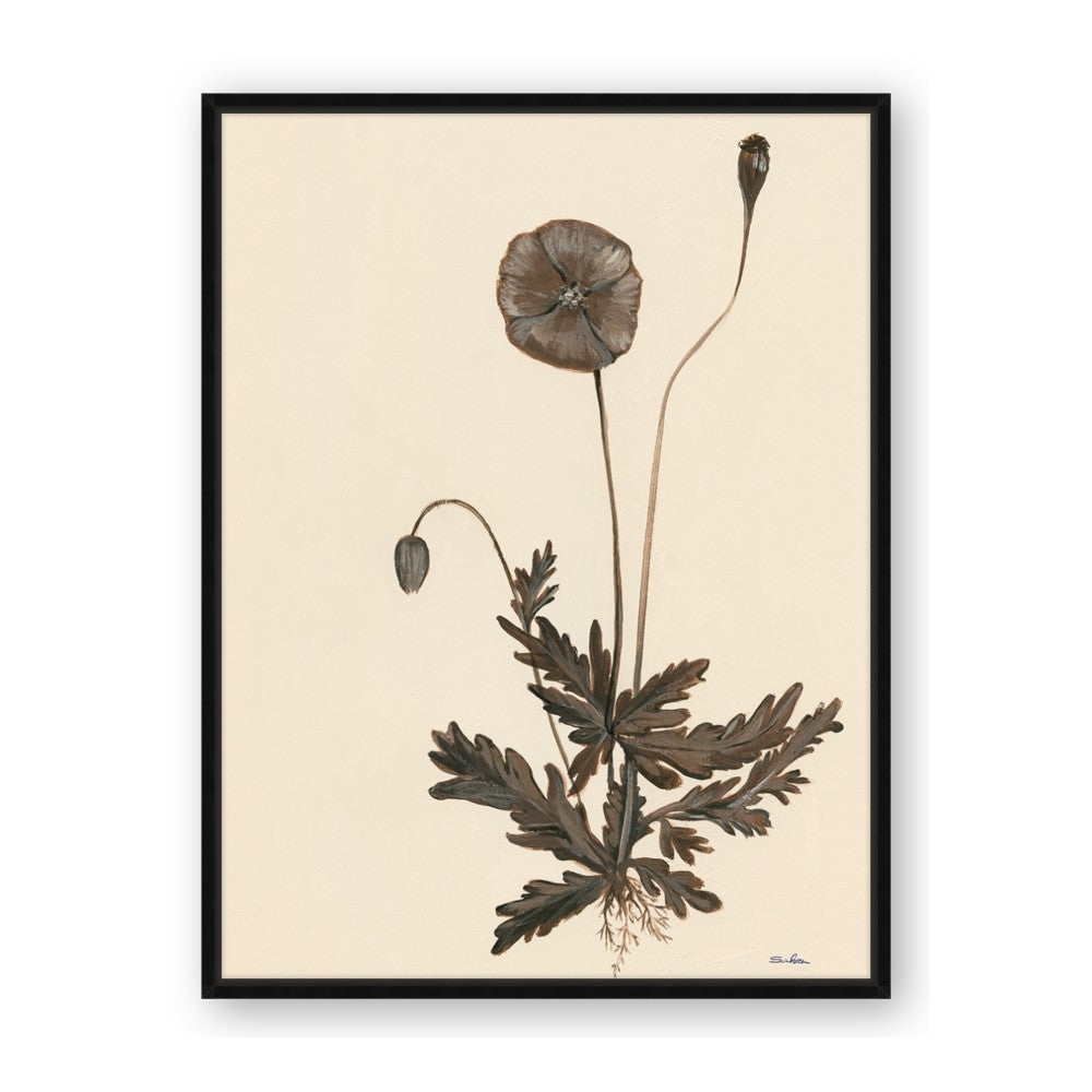 Vintage Botanical II