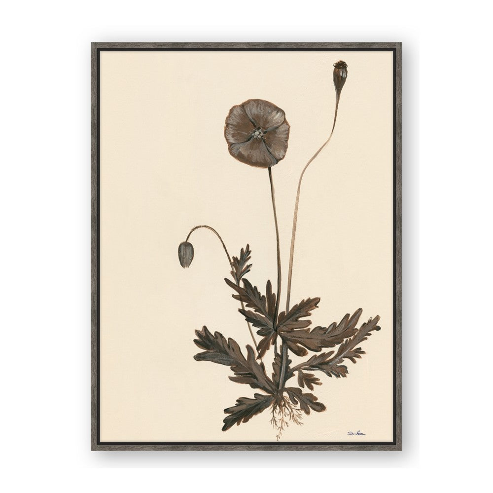 Vintage Botanical II