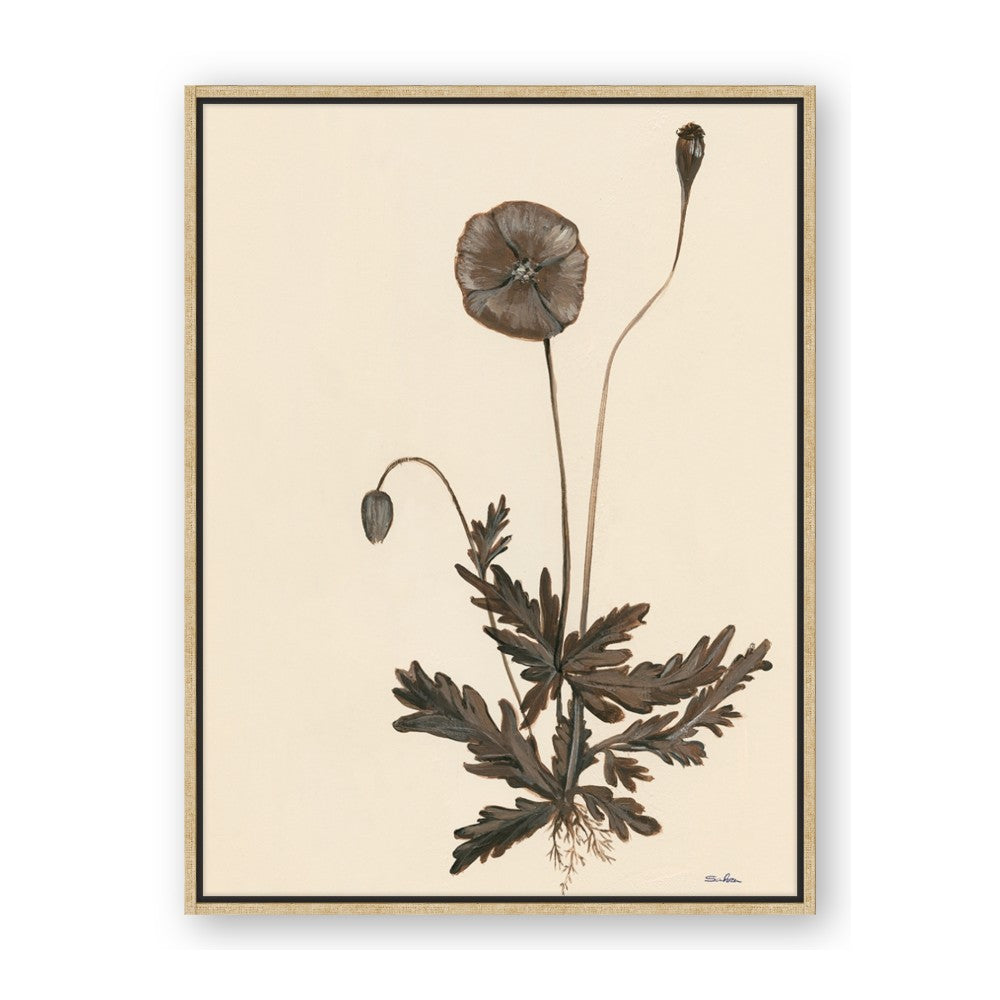 Vintage Botanical II