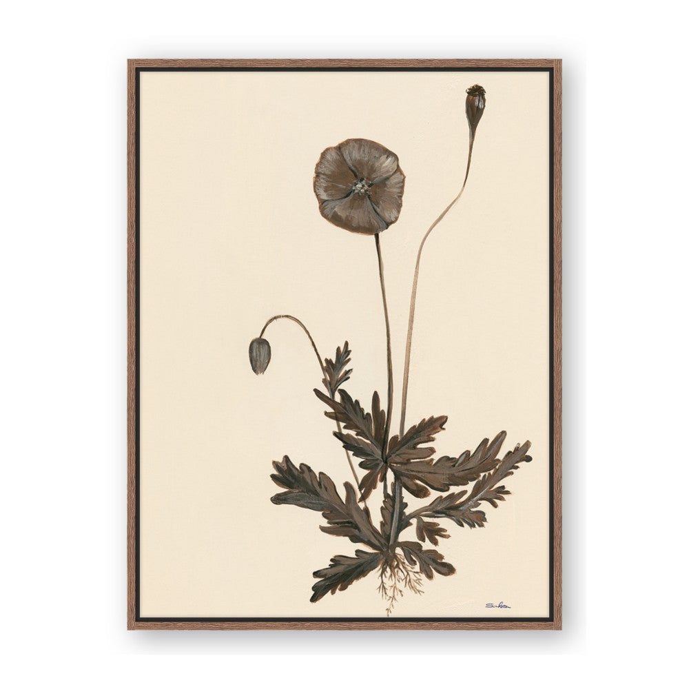 Vintage Botanical II