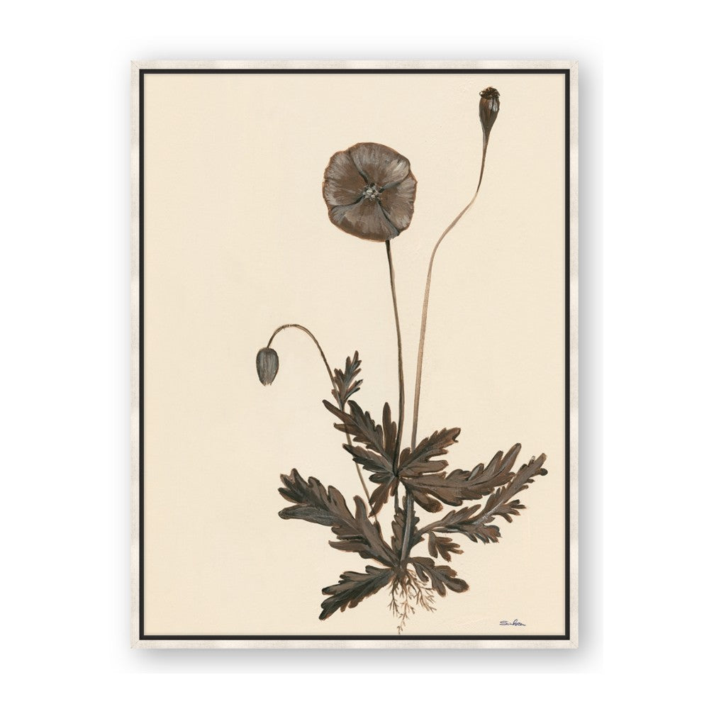 Vintage Botanical II