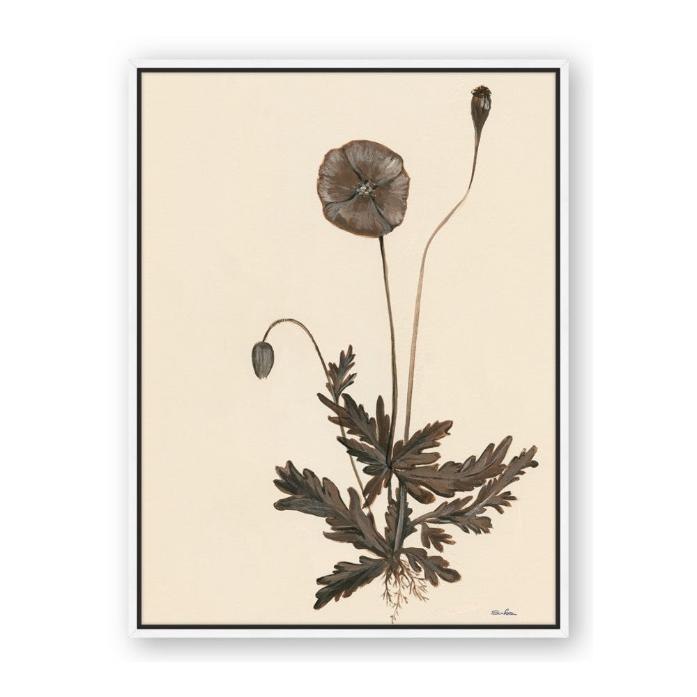Vintage Botanical II