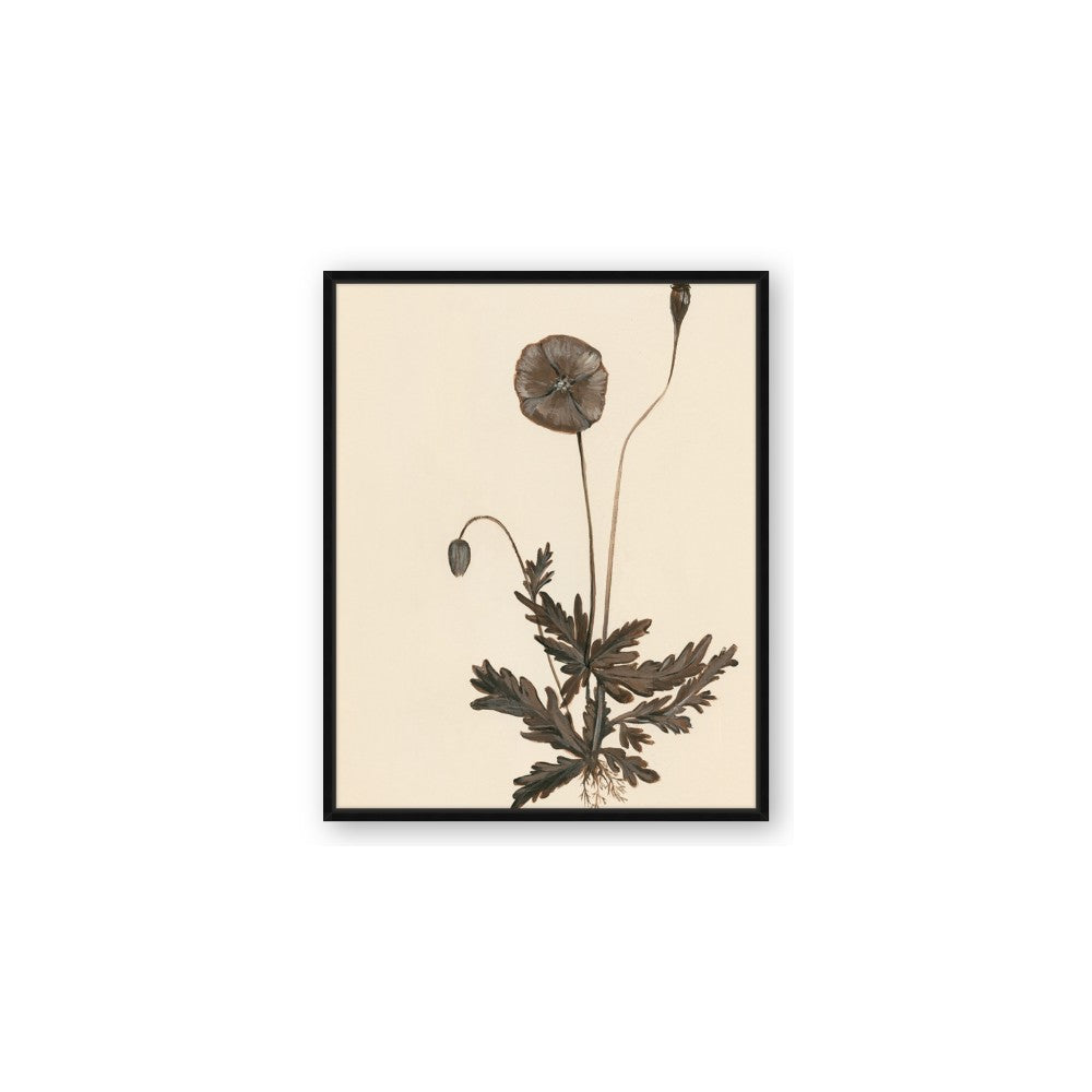 Vintage Botanical II