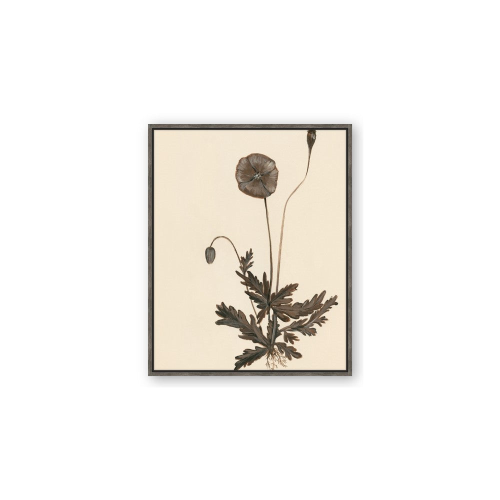 Vintage Botanical II