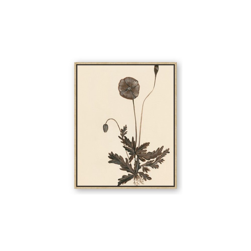 Vintage Botanical II