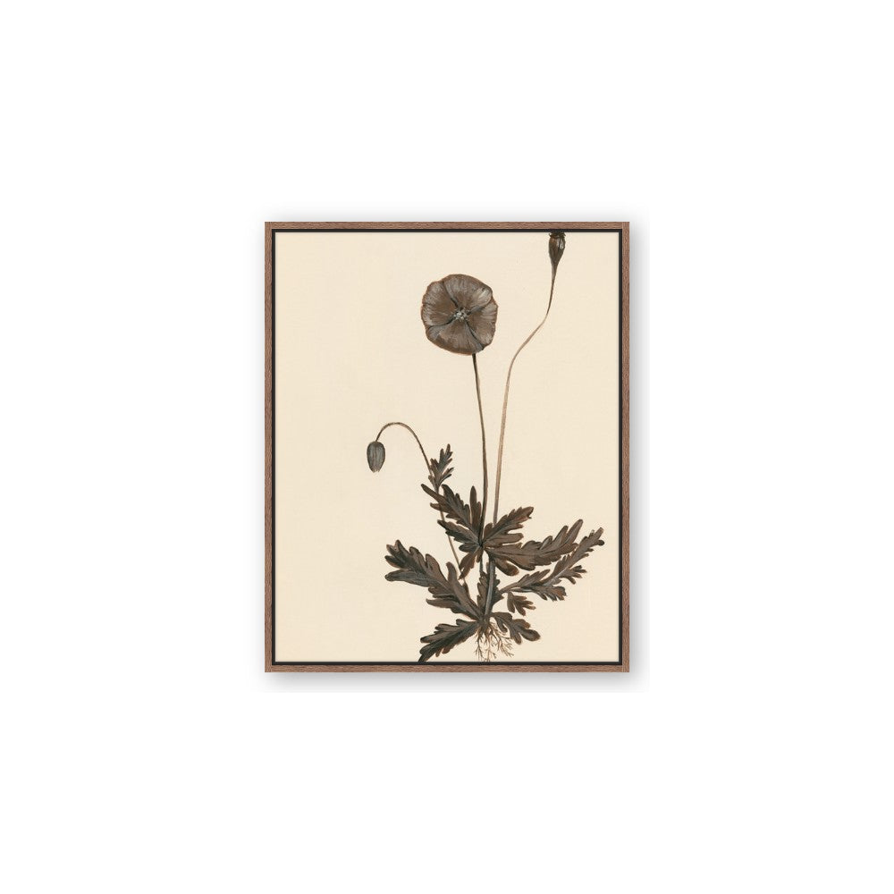 Vintage Botanical II