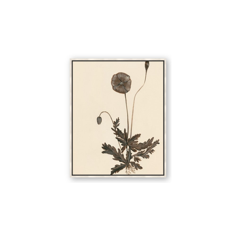 Vintage Botanical II