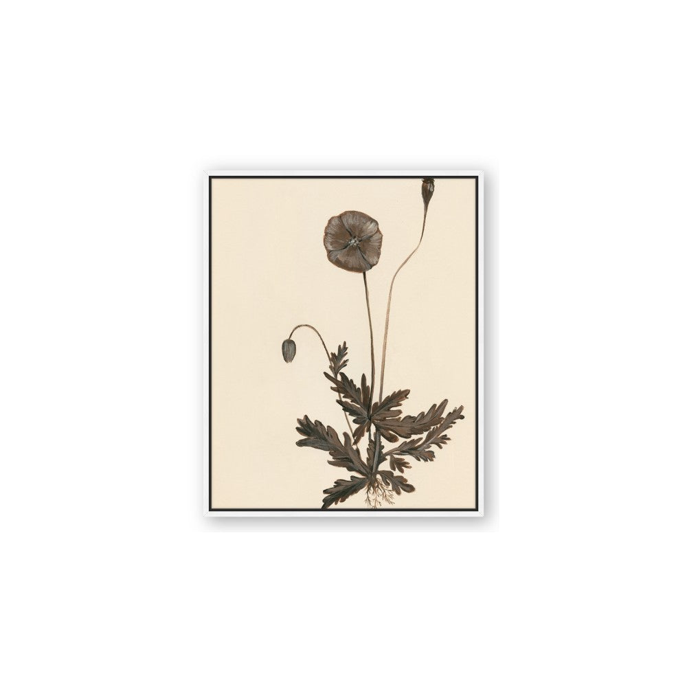 Vintage Botanical II