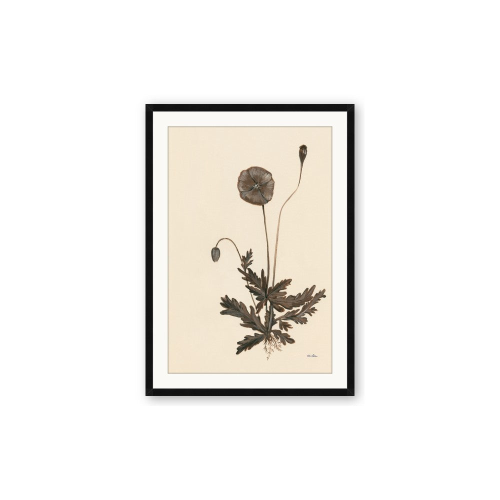 Vintage Botanical II