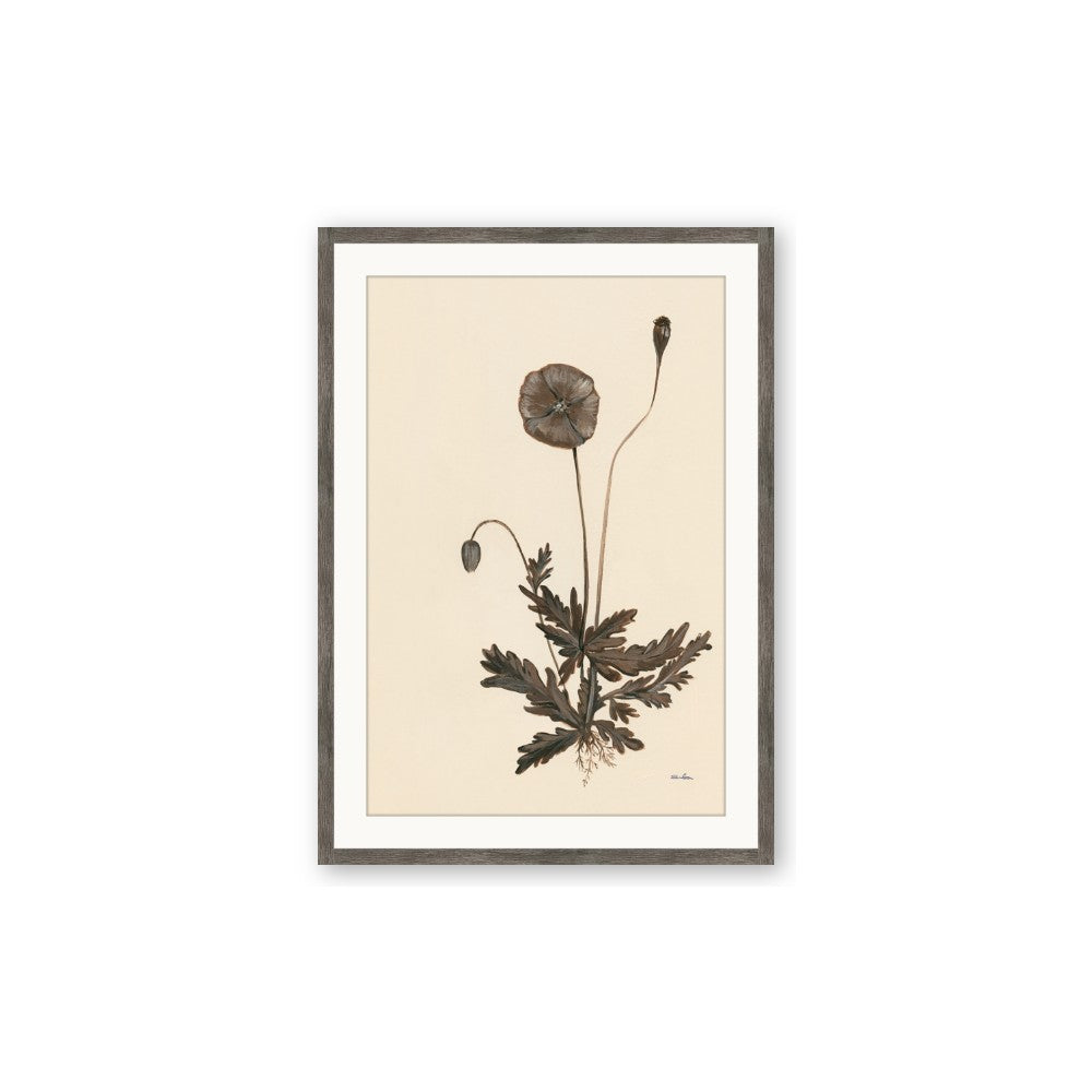 Vintage Botanical II