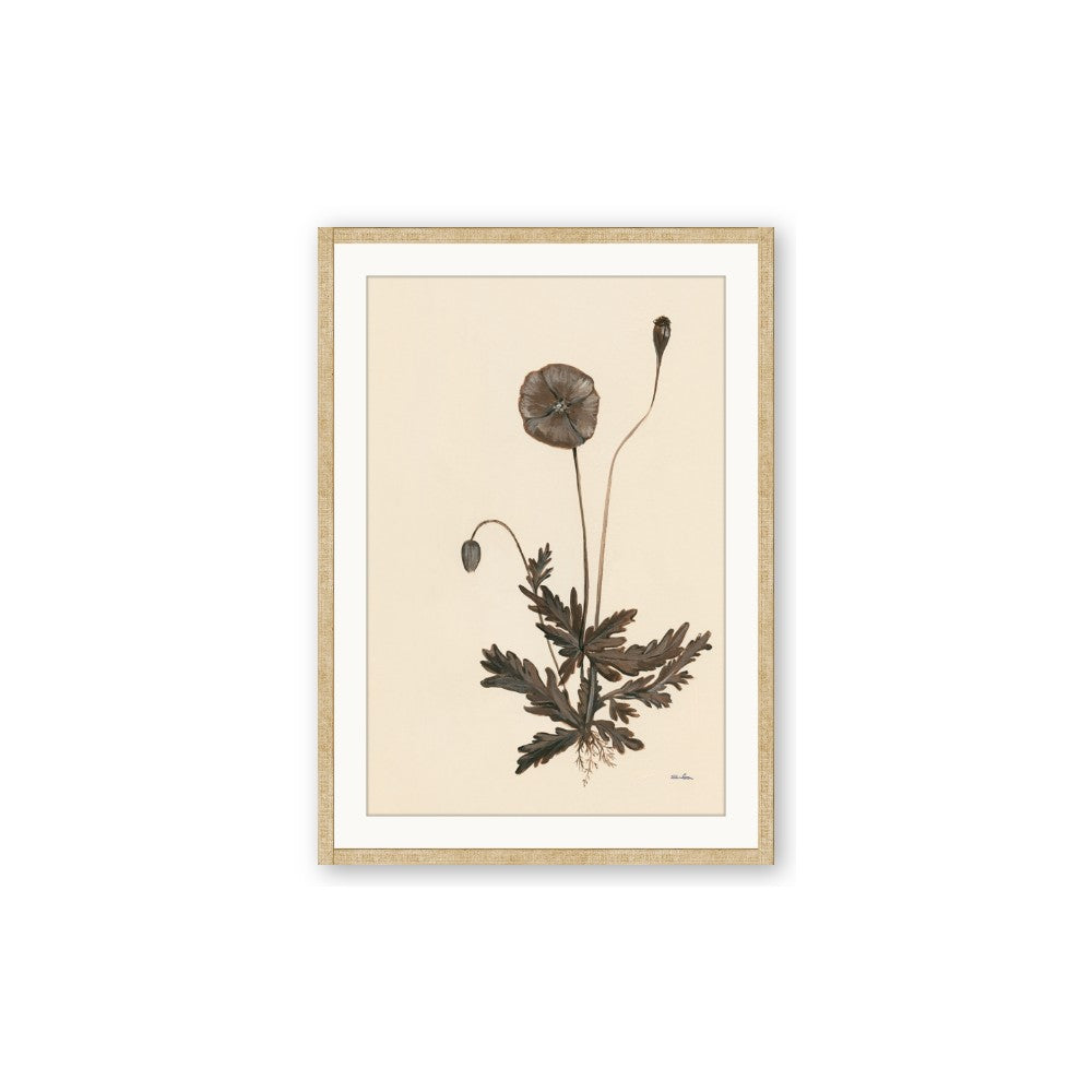 Vintage Botanical II