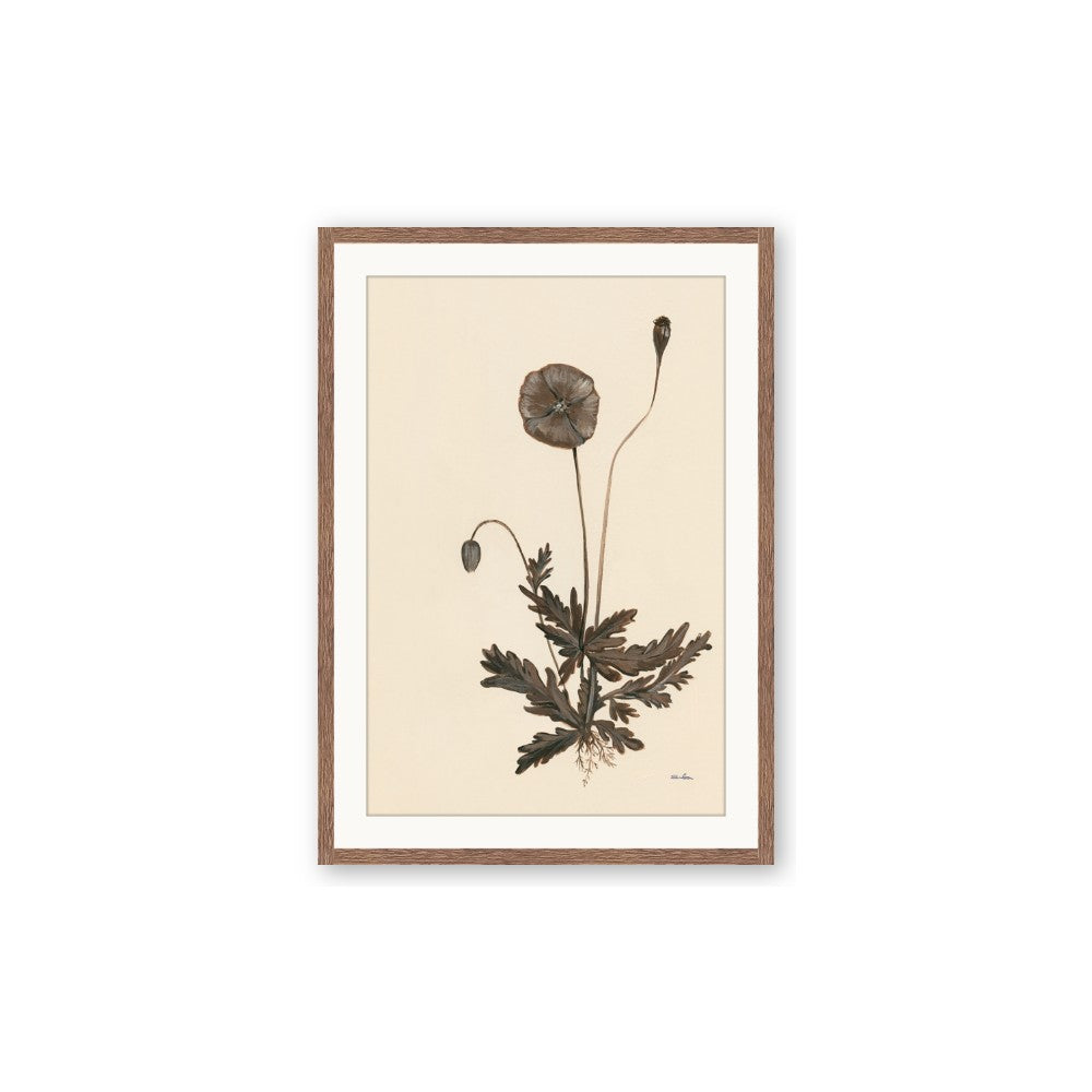 Vintage Botanical II