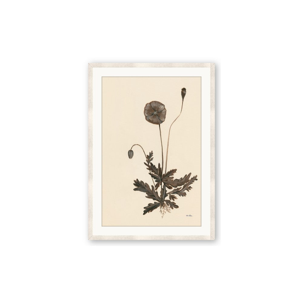 Vintage Botanical II