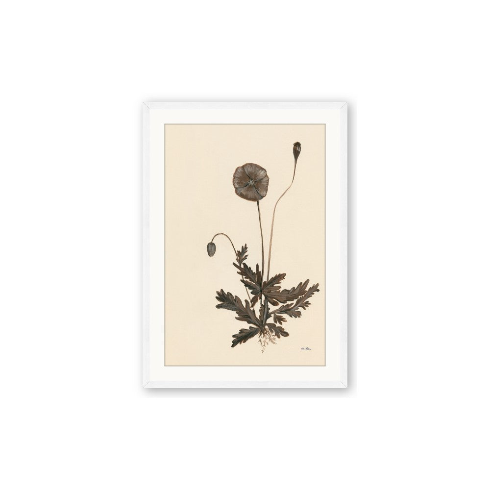Vintage Botanical II