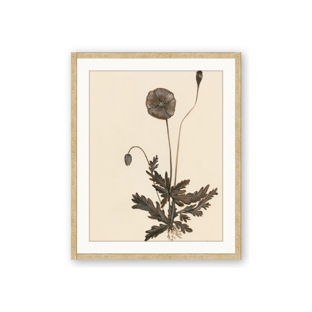 Vintage Botanical II