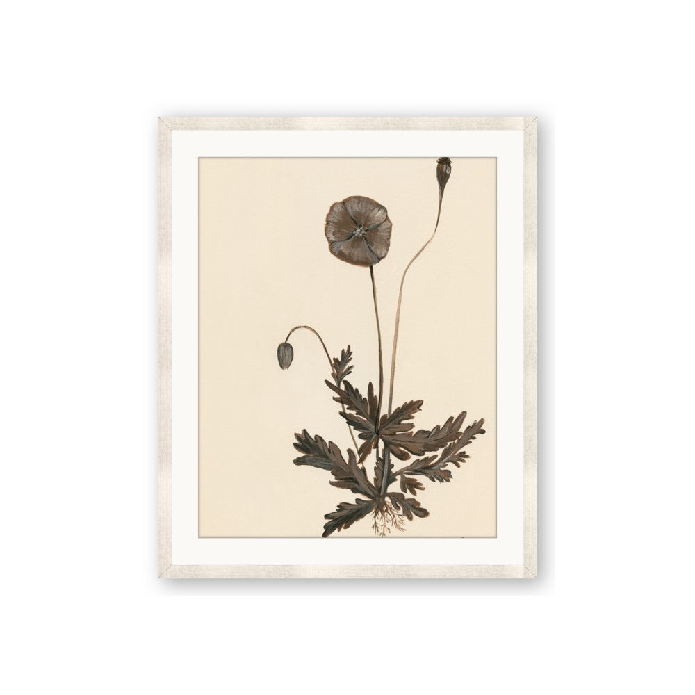 Vintage Botanical II
