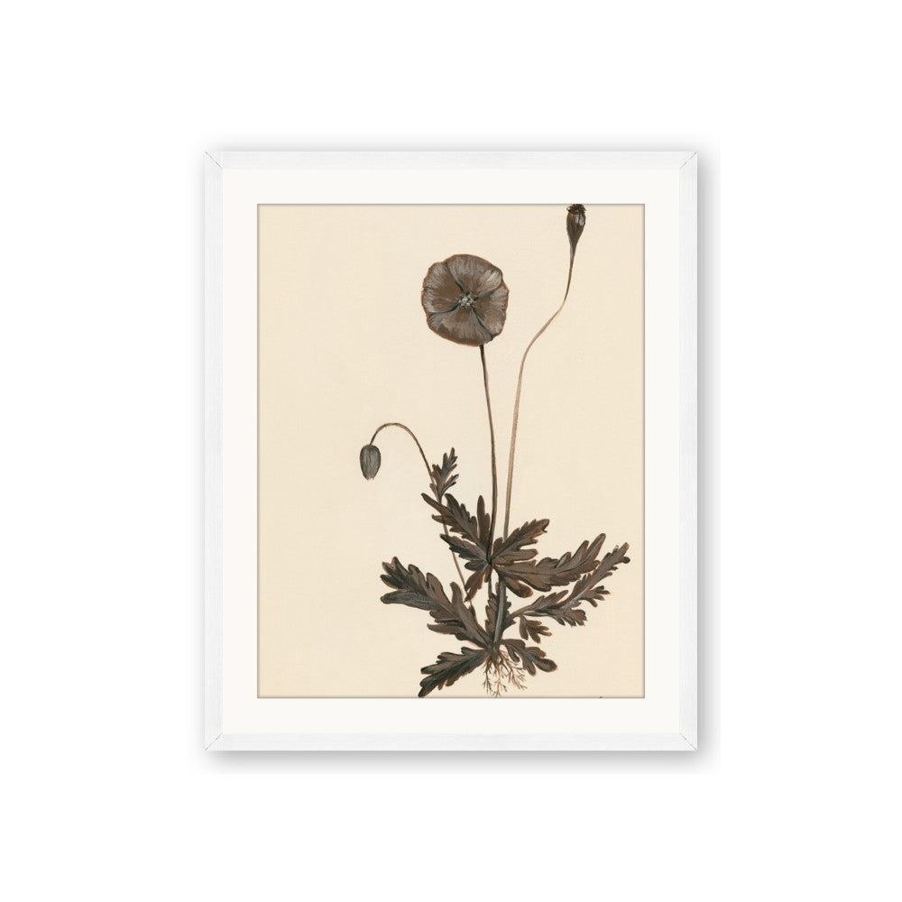Vintage Botanical II