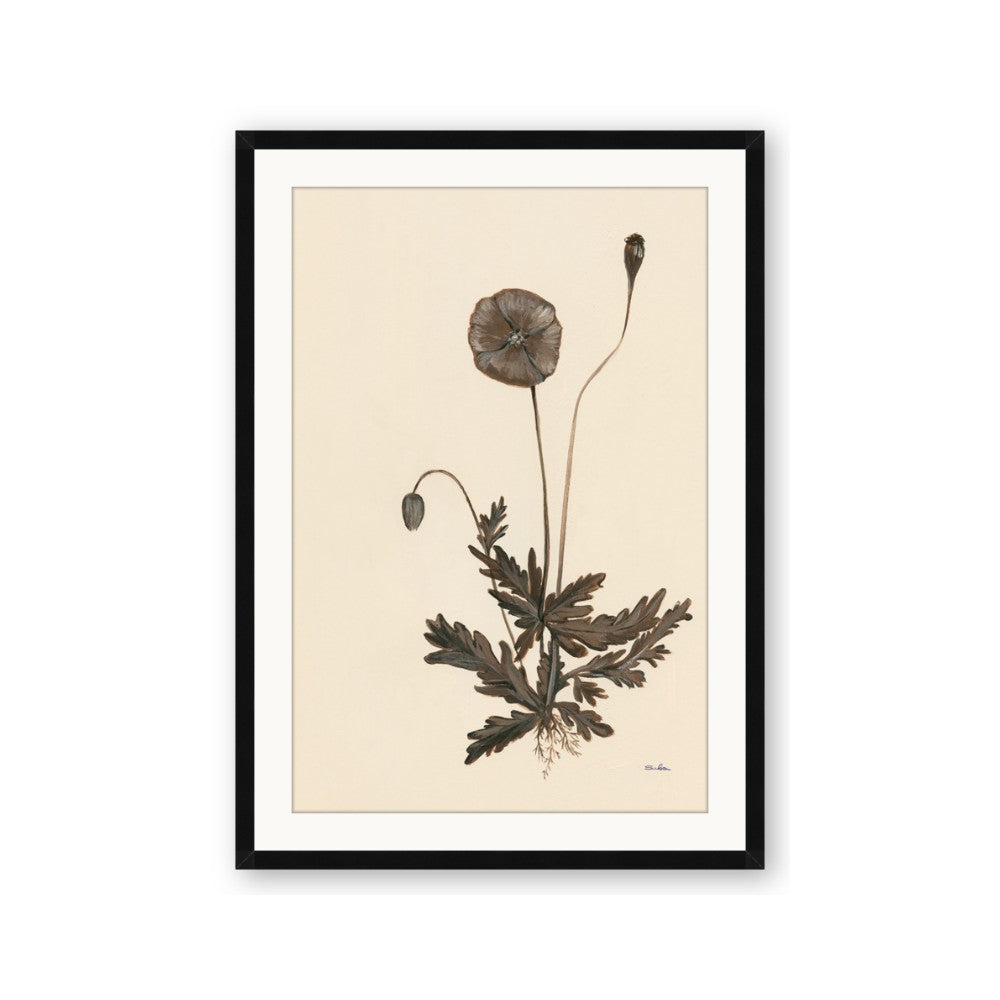 Vintage Botanical II