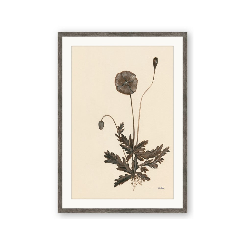 Vintage Botanical II