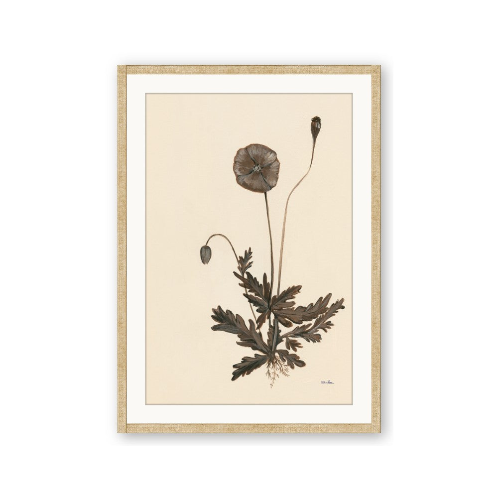 Vintage Botanical II