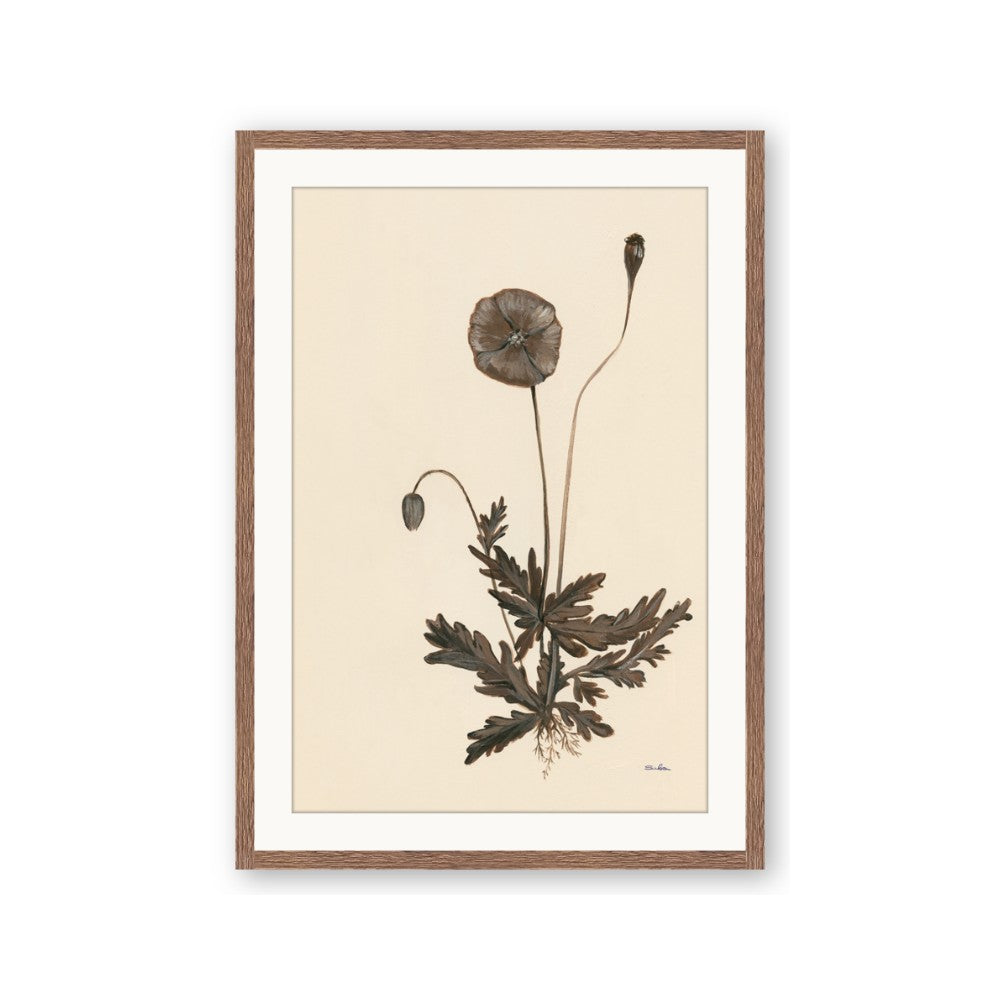 Vintage Botanical II