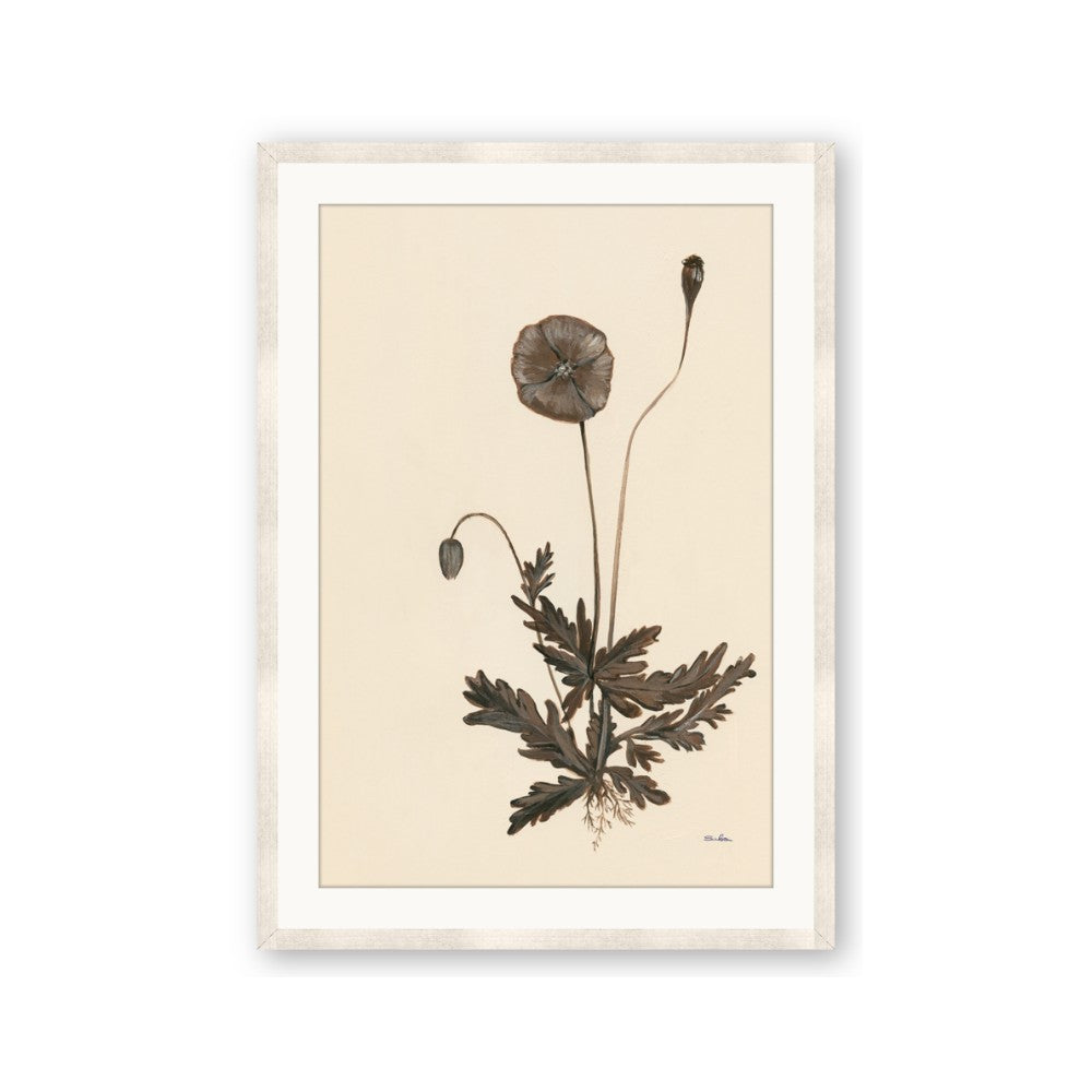 Vintage Botanical II