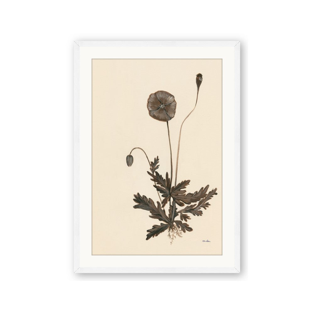 Vintage Botanical II