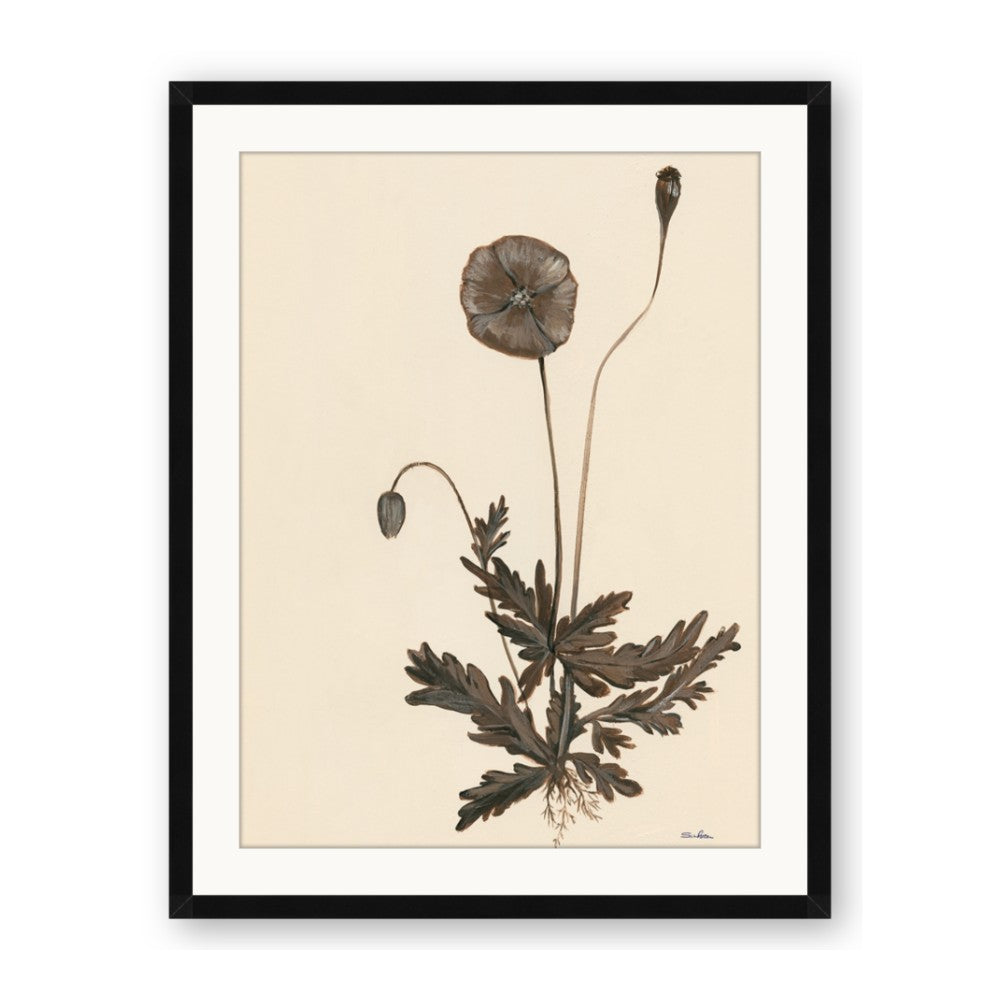 Vintage Botanical II
