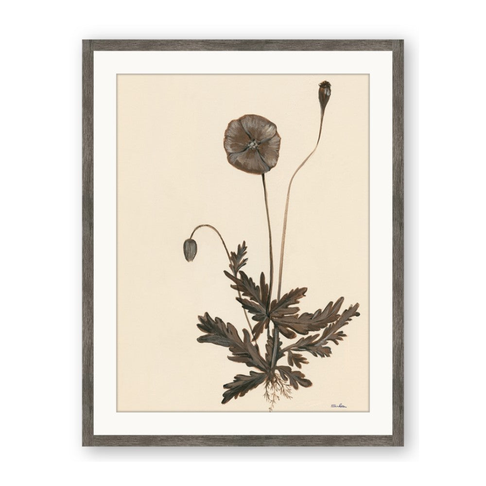 Vintage Botanical II