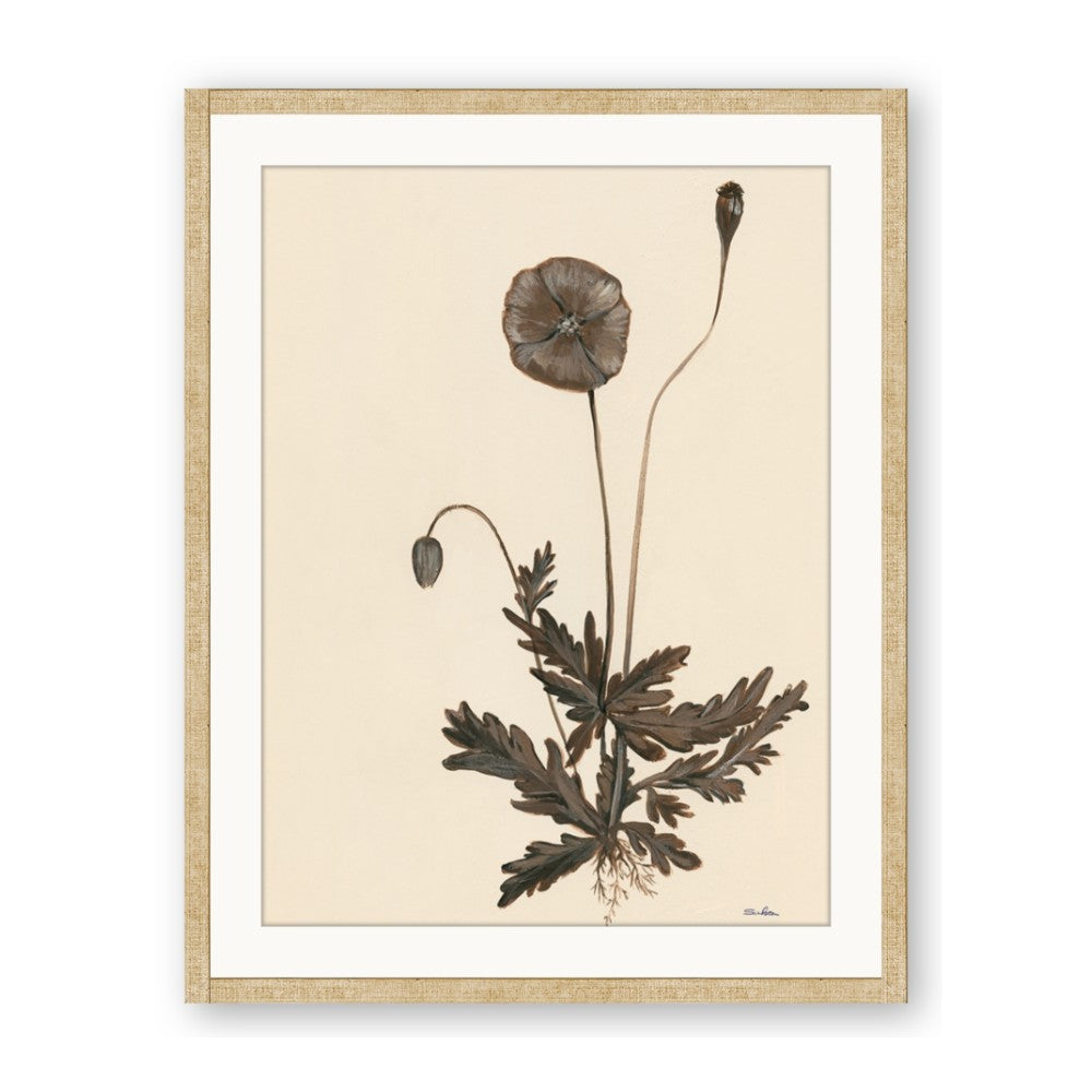 Vintage Botanical II
