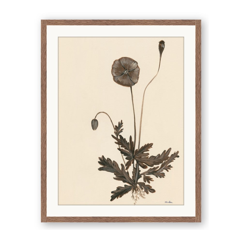 Vintage Botanical II