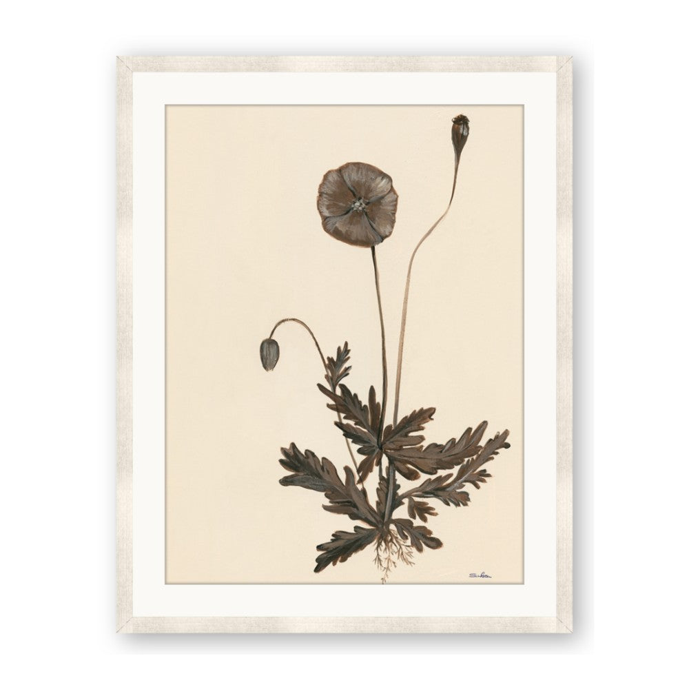 Vintage Botanical II
