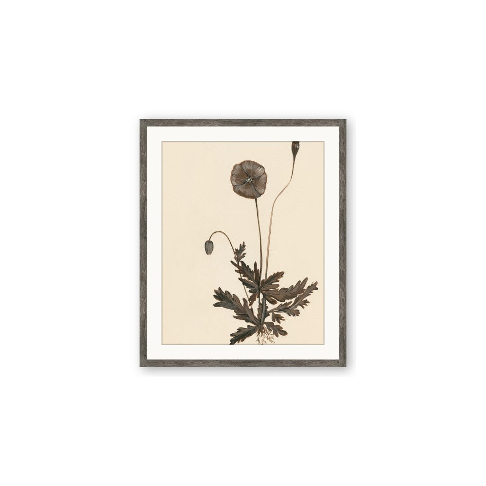 Vintage Botanical II