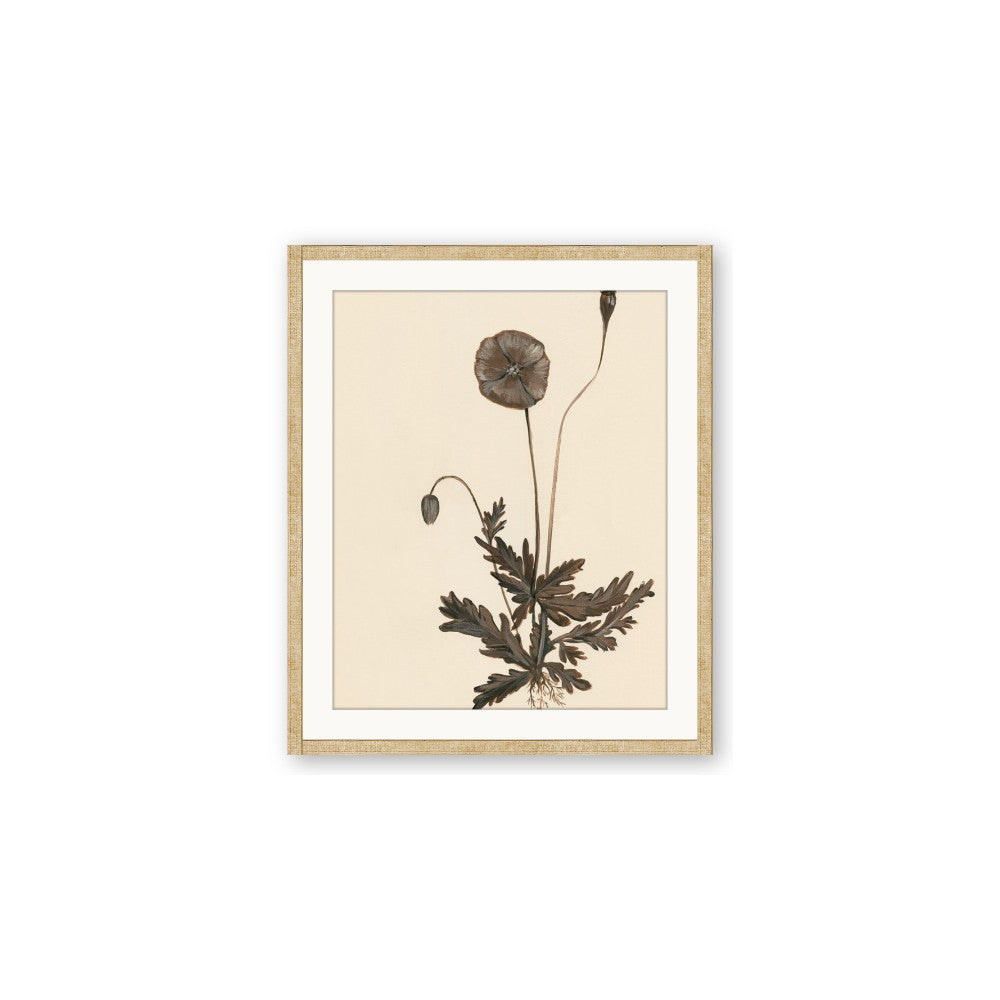 Vintage Botanical II