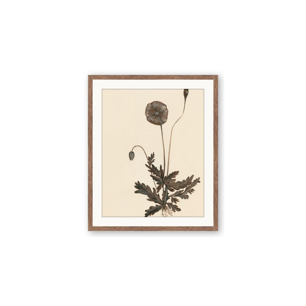 Vintage Botanical II
