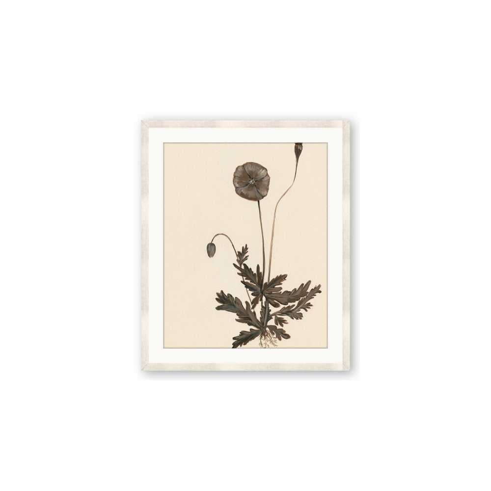 Vintage Botanical II