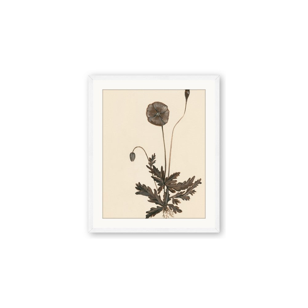 Vintage Botanical II