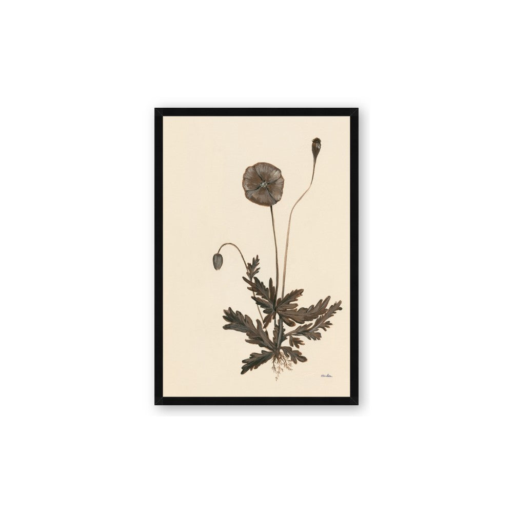 Vintage Botanical II