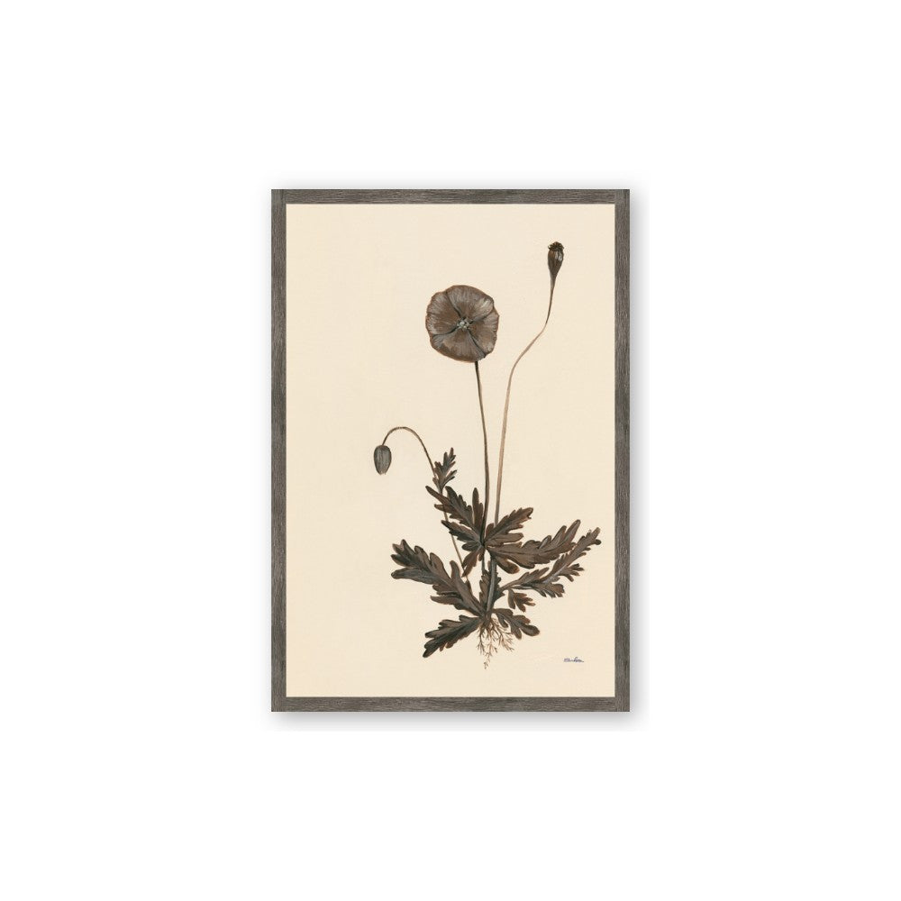 Vintage Botanical II