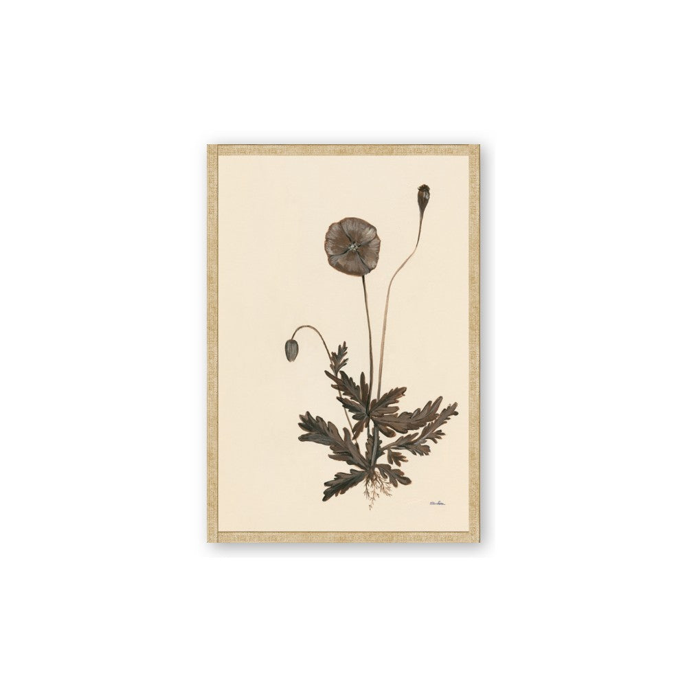 Vintage Botanical II